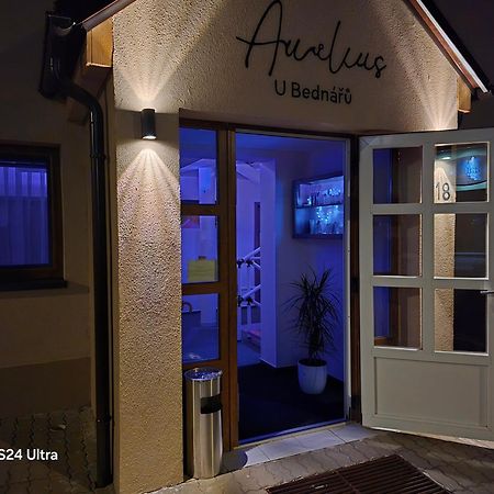 Penzionu Aurelius U Bednaru Pavlov Buitenkant foto